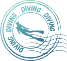 大迫力 ホオジロザメ ケージダイビング 8日間 ダイビングツアー専門旅行会社ワールドエクスプローラ
